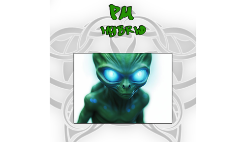 PM – Hybrid